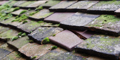 Milton roof repair costs